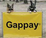 Gappay 1 Meter Jump