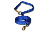 Nylon Tie-Out - 15ft x 1"